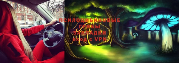 прущая мука Богородск