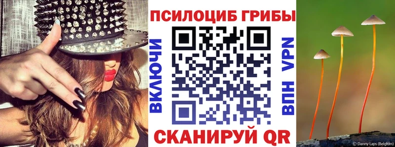 Купить закладки  Донской  Псилоцибиновые грибы Psilocybine cubensis 